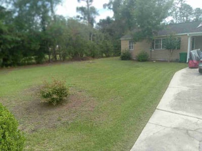 Lawn Care service in Valdosta, 31601