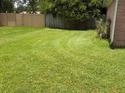 Lawn Care service in Valdosta, 31601