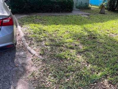 Leaf Removal service in DeLand, 32720