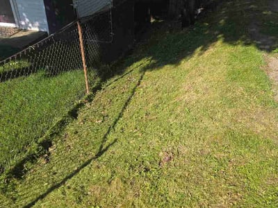 Leaf Removal service in Erie, 16507