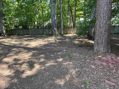 Leaf Removal service in Cary, 27513
