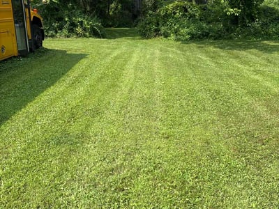 Lawn Care service in Queensbury, 12804