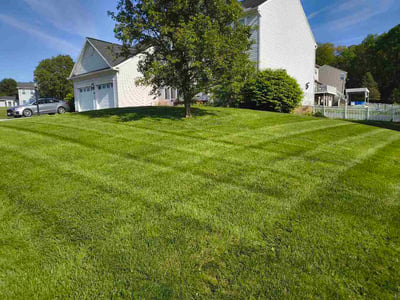 Lawn Care service in Johnstown, 15901