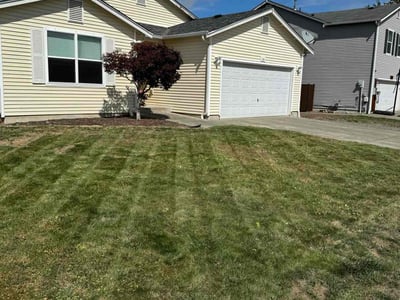 Lawn Care service in Wenatchee, 98801