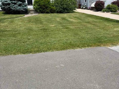 Lawn Care service in Holland, 49423
