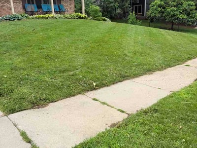 Lawn Care service in West Des Moines, 50315
