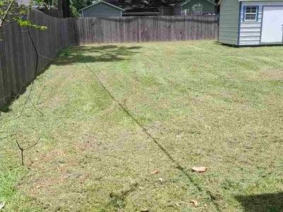 Lawn Care service in Pineville, 71360