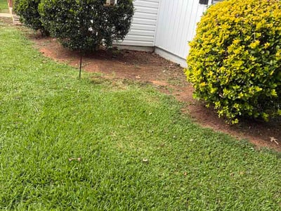 Lawn Care service in Rock Hill, 29730