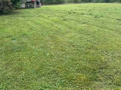 Lawn Care service in LaFayette, 30728