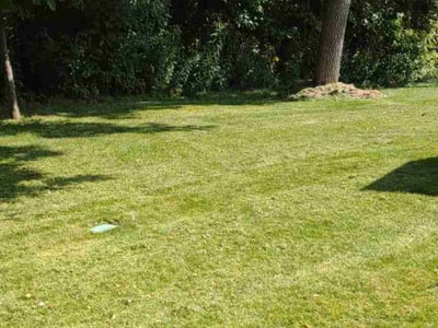 Lawn Care service in Urbandale, 50322