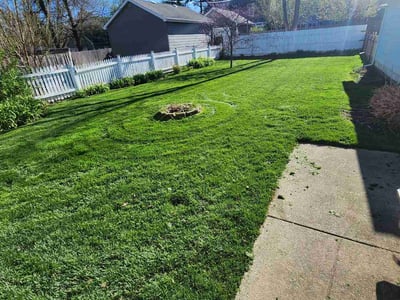 Lawn Care service in Glen Ellyn, 60137