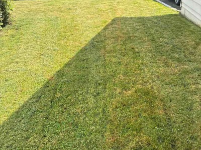 Lawn Care service in Phillipsburg, 08865