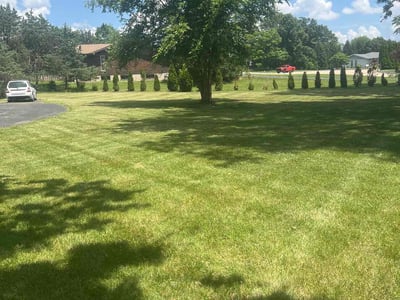 Lawn Care service in Sudbury, 01776