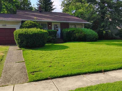 Lawn Care service in Camden, 08104