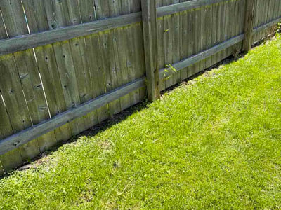 Lawn Care service in Tonawanda, 14150