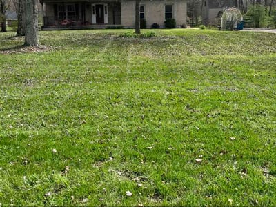 Lawn Care service in Batavia, 45103