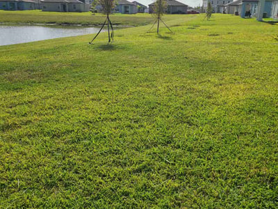 Lawn Care service in Wareham, 02571