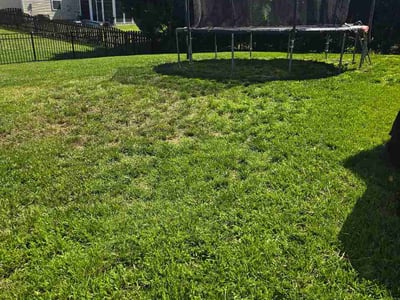 Lawn Care service in Lake Wylie, 29710