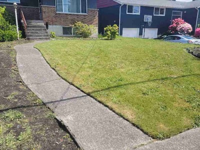 Lawn Care service in Tacoma, 98405