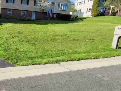 Lawn Care service in Pittsford, 14534