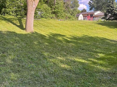 Lawn Care service in Plymouth, 02360