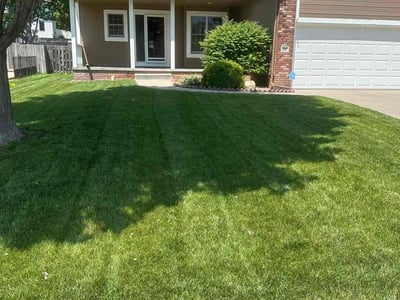 Lawn Care service in Papillion, 68046