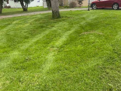 Lawn Care service in Irondeqoit, 14622