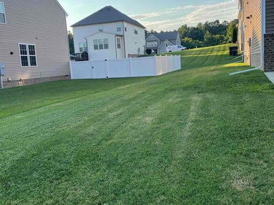 Lawn Care service in Chester, 23831