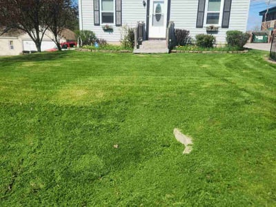 Lawn Care service in New Berlin, 53151