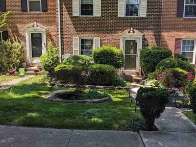 Lawn Care service in Springfield, 22150