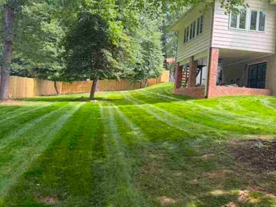 Lawn Care service in Merrifield, 22042