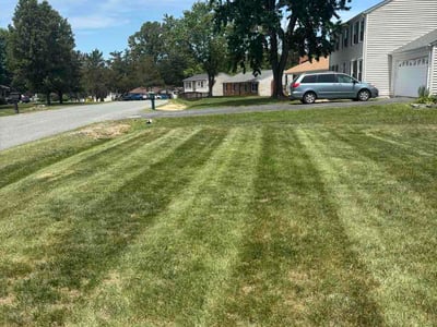 Lawn Care service in Merrifield, 22042