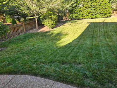 Lawn Care service in Midlothian, 23113