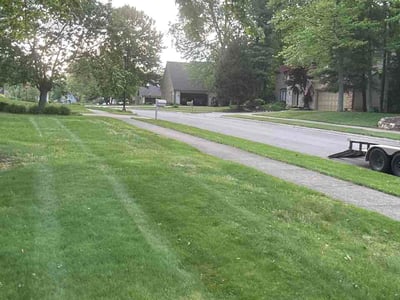 Lawn Care service in Reston, 20190