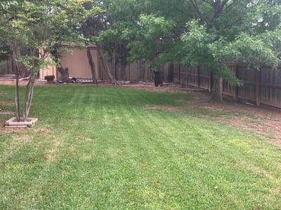 Lawn Care service in Stone Oak, 78258