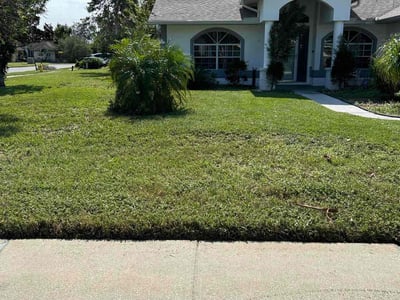 Lawn Care service in Woodbridge, 07095