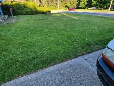 Lawn Care service in Rockford, 49341