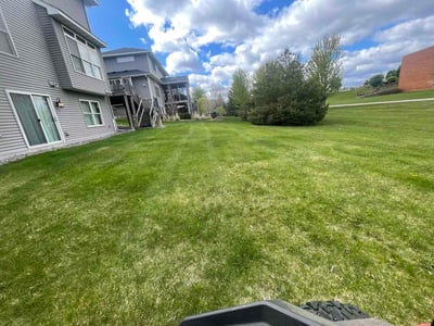 Lawn Care service in Shakopee, 55379
