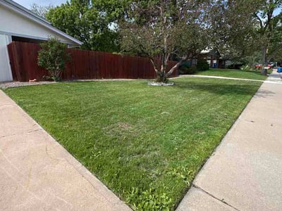 Lawn Care service in Golden, 80401