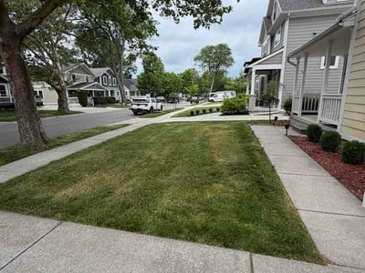 Lawn Care service in Waterford, 48329