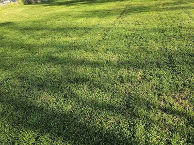 Lawn Care service in Randolph, 02368