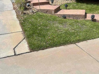 Lawn Care service in Fairplay, 80440