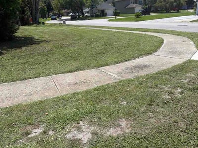 Lawn Care service in Roslindale, 02131