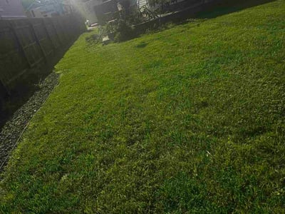 Lawn Care service in Pasadena, 21122