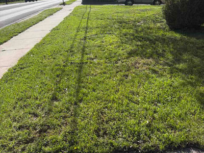 Lawn Care service in Ada, 49301