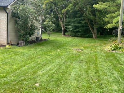 Lawn Care service in Clarkston, 48346