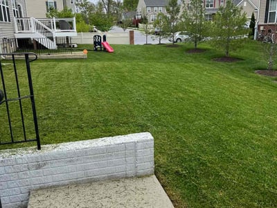 Lawn Care service in Middle River, 21220