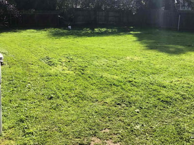 Lawn Care service in Santa Barbara, 93101