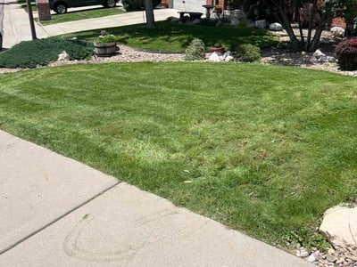 Lawn Care service in Westminster, 92683