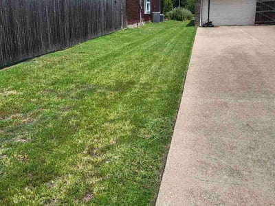 Lawn Care service in Santee, 92071